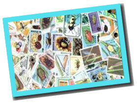 50 verschiedene Briefmarken INSEKTEN