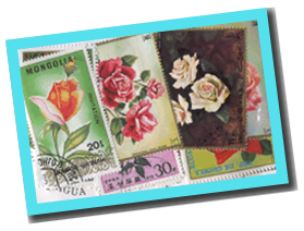 50 different ROSES on stamps
