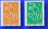 F3884-91P